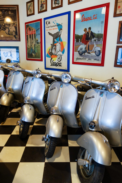 A herd of GSs