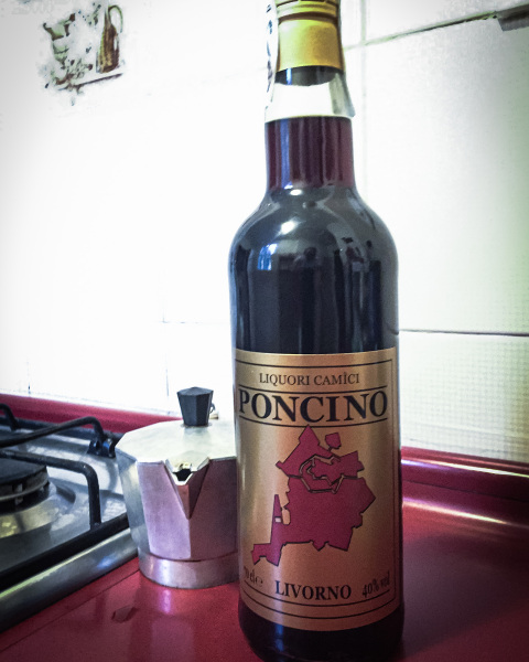 Homemade ponce