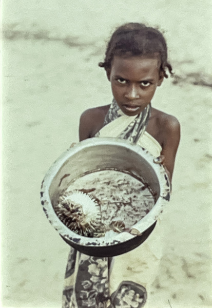Puffer fish girl