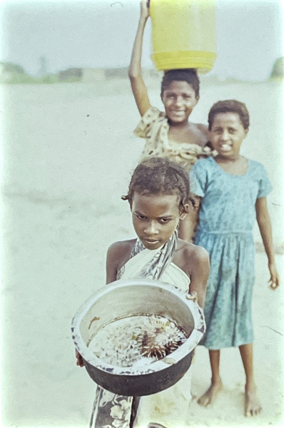 Puffer girl and friends