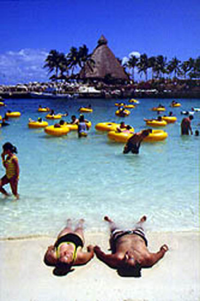 beached_whale