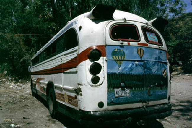 bus
