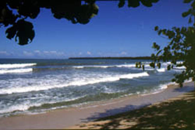 cahuita_beach