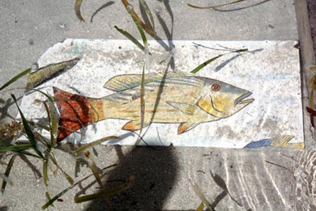 fish