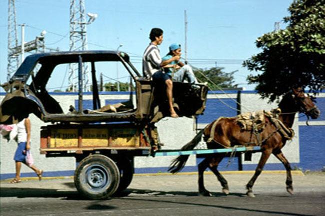 horse_car