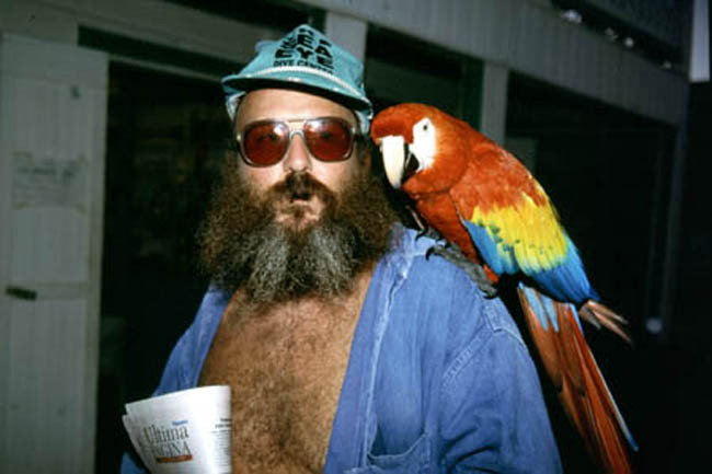 macaw