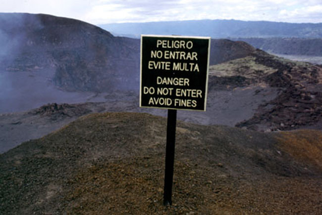 masaya_sign