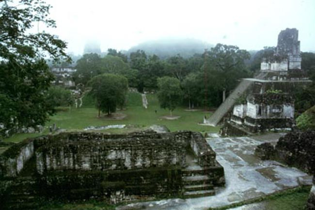 misty_tikal