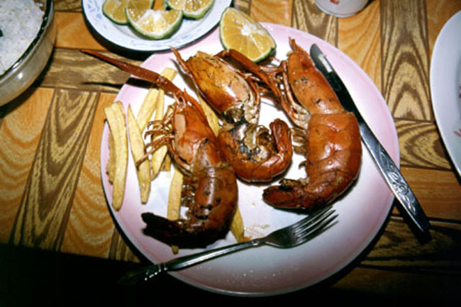 prawns