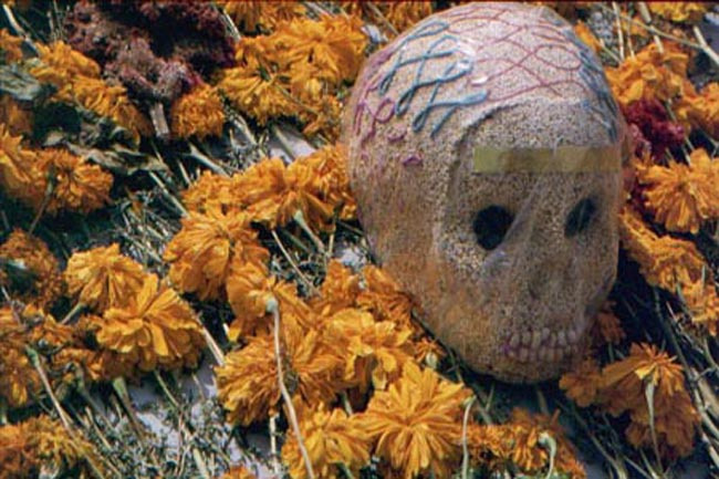 skull