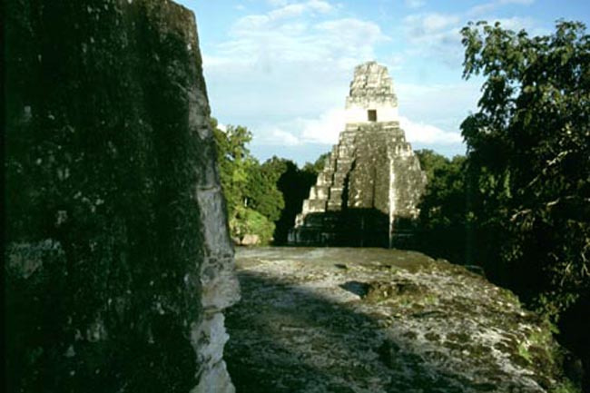 tikal