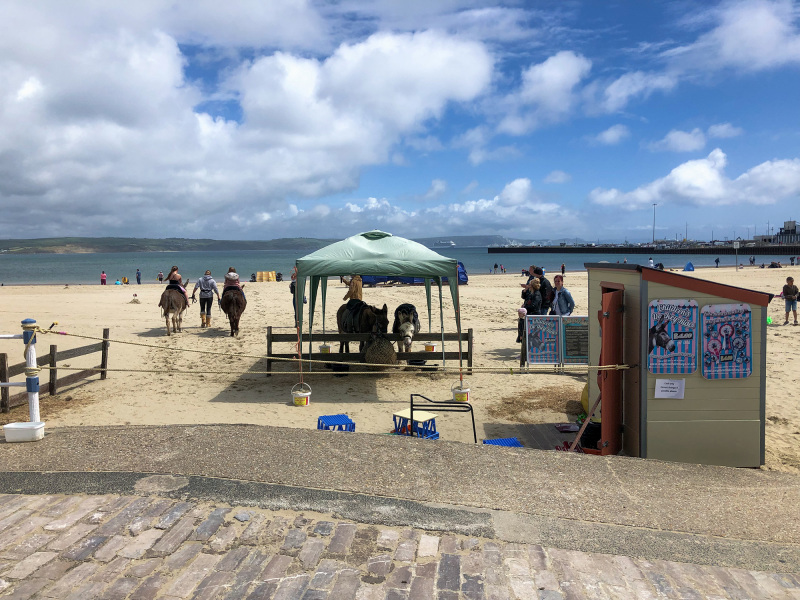Seaside donkey ride