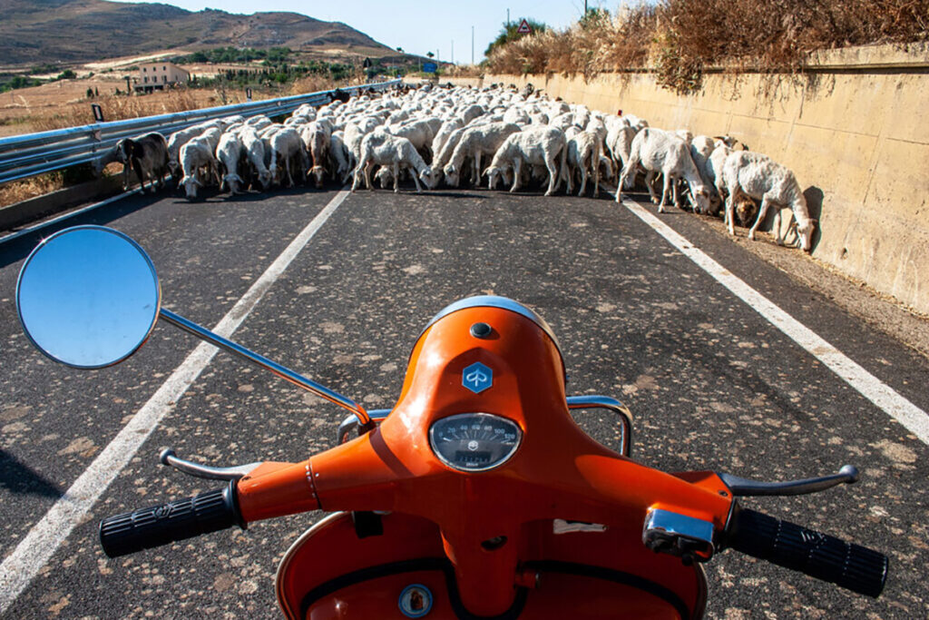 Sicilian road block (Peter Moore)