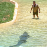 Steve Irwin faces down a croc in the Crocoseum (Peter Moore)