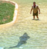 Steve Irwin faces down a croc in the Crocoseum (Peter Moore)