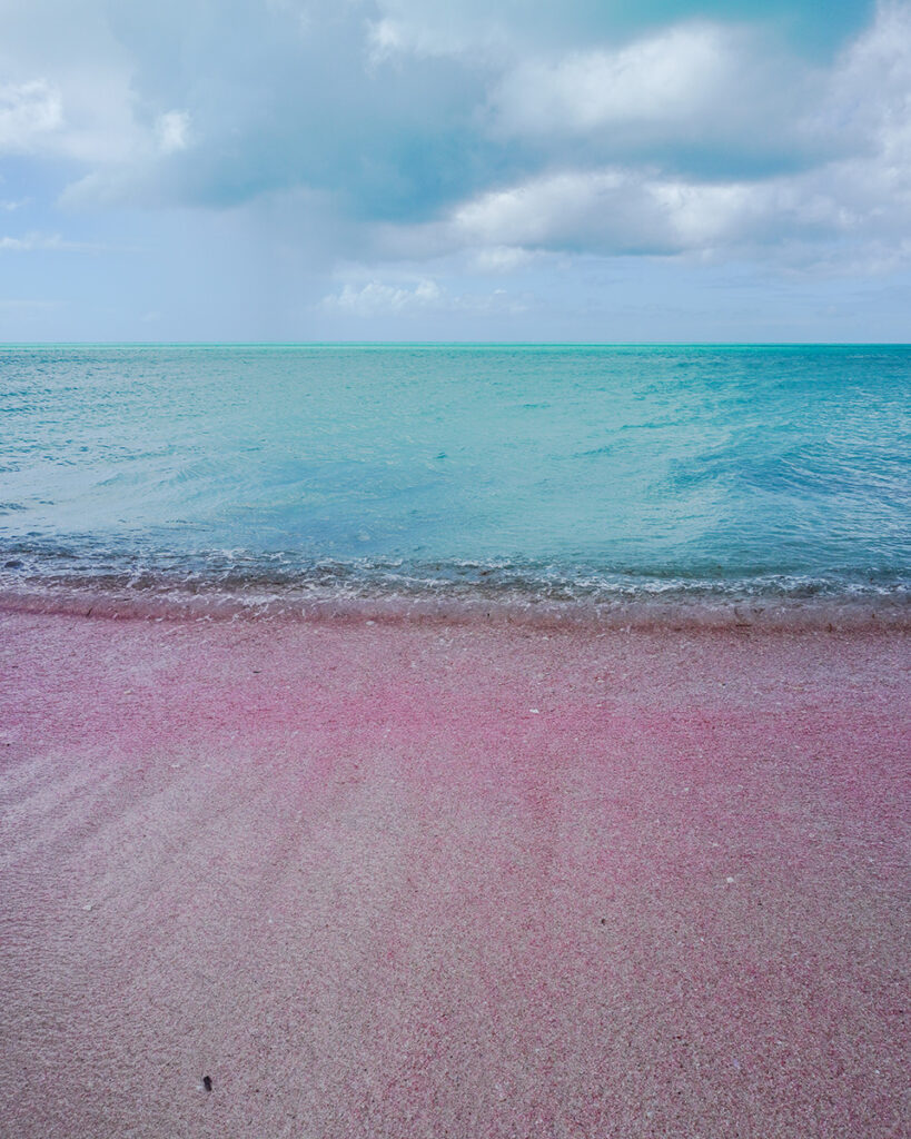 Pink sand beach, Barbuda (Peter Moore)