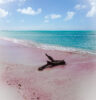 Pink Beach on Barbuda (Peter Moore)
