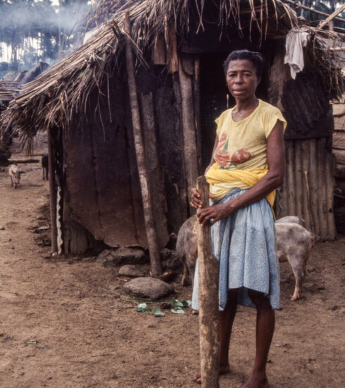 A lady and her pigs on Ilhéu das Rolas in São Tomé (Peter Moore)