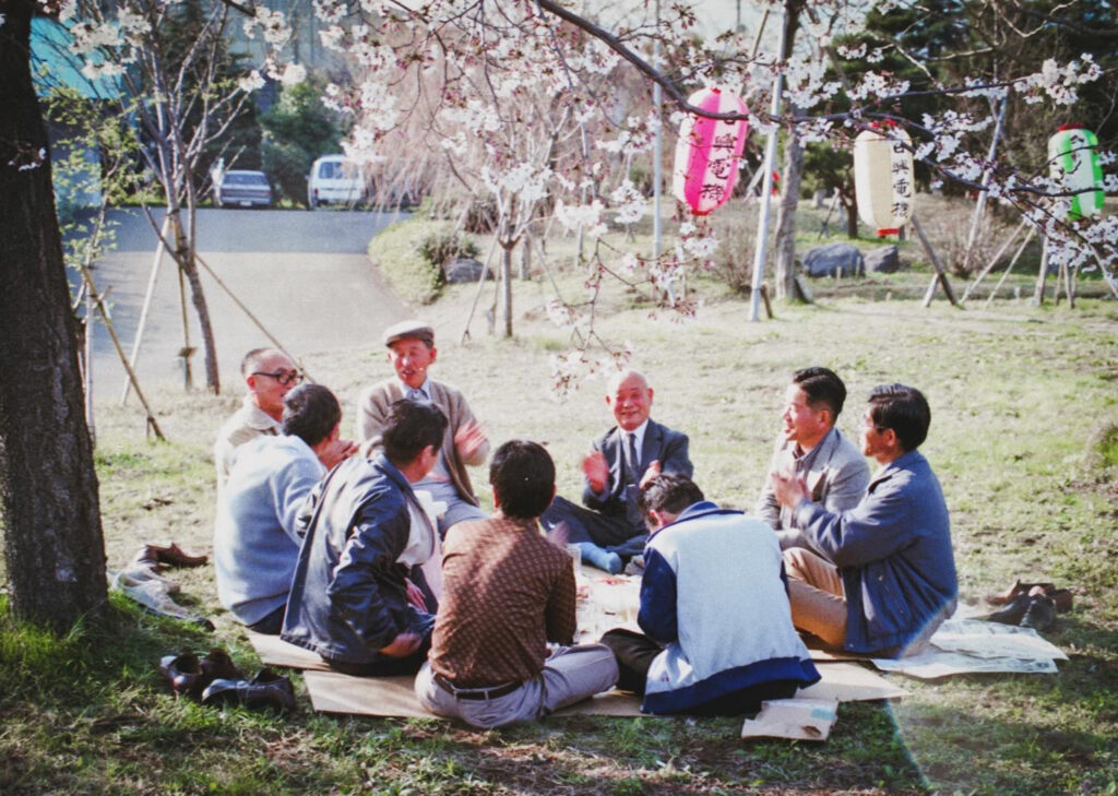 Cherry Blossom party in 80s Japan (Peter Moore)