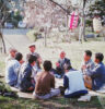 Cherry Blossom party in 80s Japan (Peter Moore)